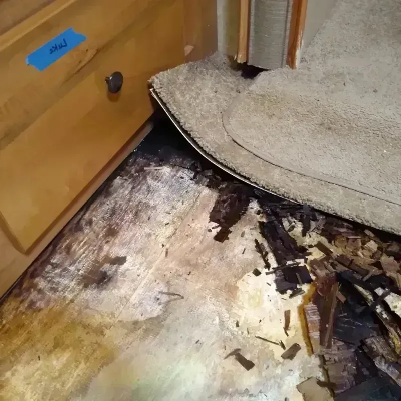 Wood Floor Water Damage in Cimarron County, OK